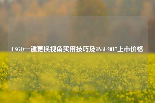 CSGO一键更换视角实用技巧及iPad 2017上市价格