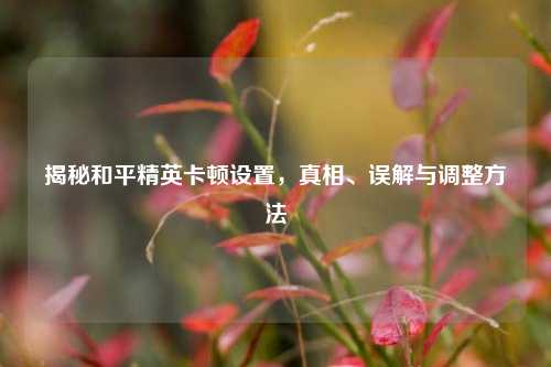 揭秘和平精英卡顿设置,真相、误解与调整方法