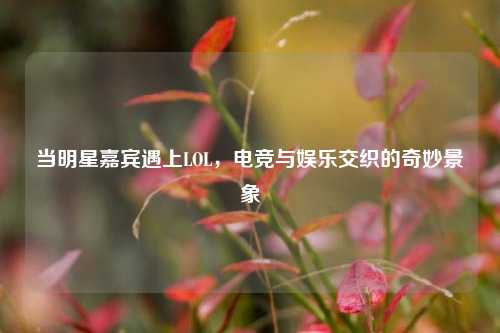 当明星嘉宾遇上LOL,电竞与娱乐交织的奇妙景象