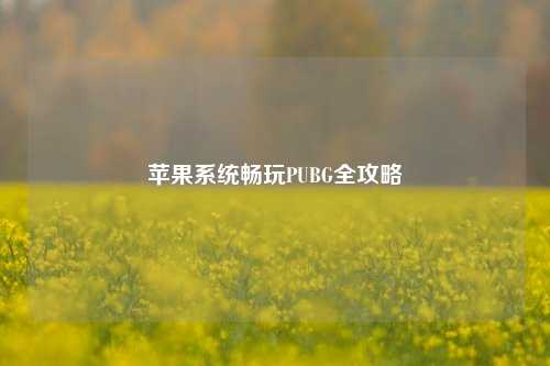 苹果系统畅玩PUBG全攻略