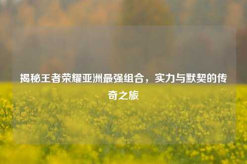 揭秘王者荣耀亚洲最强组合,实力与默契的传奇之旅