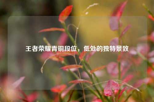 王者荣耀青铜段位,低处的独特景致