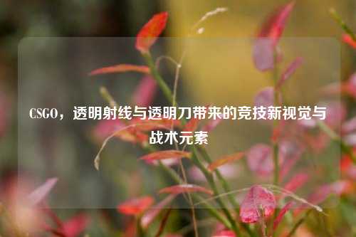 CSGO,透明射线与透明刀带来的竞技新视觉与战术元素