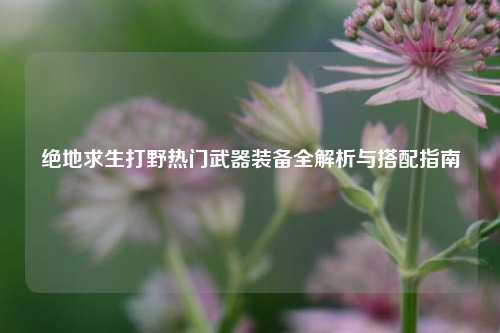绝地求生打野热门武器装备全解析与搭配指南