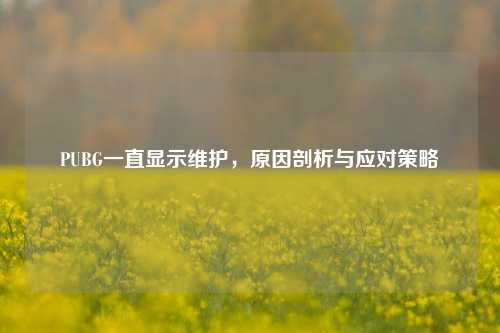 PUBG一直显示维护,原因剖析与应对策略