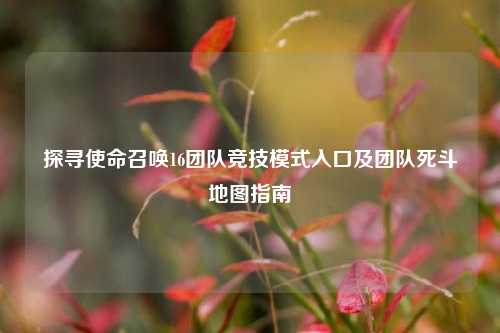 探寻使命召唤16团队竞技模式入口及团队死斗地图指南