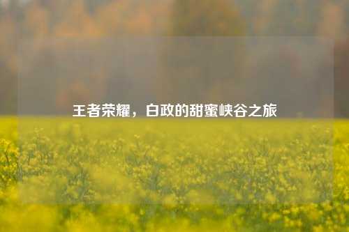 王者荣耀,白政的甜蜜峡谷之旅