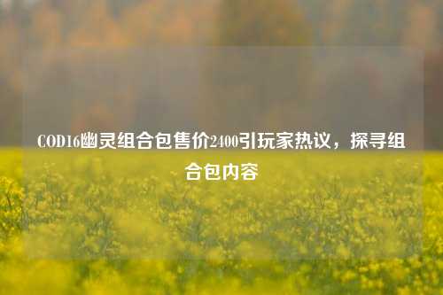 COD16幽灵组合包售价2400引玩家热议,探寻组合包内容