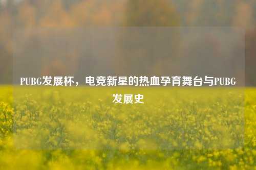 PUBG发展杯,电竞新星的热血孕育舞台与PUBG发展史