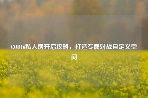 COD16私人房开启攻略,打造专属对战自定义空间