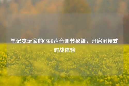 笔记本玩家的CSGO声音调节秘籍,开启沉浸式对战体验