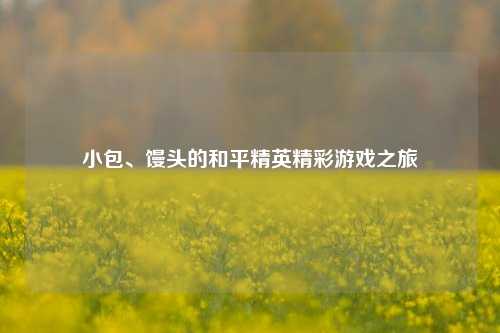 小包、馒头的和平精英精彩游戏之旅