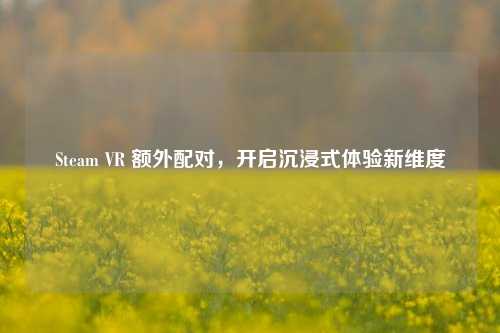 Steam VR 额外配对,开启沉浸式体验新维度