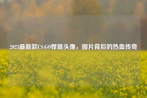2023最新款CS:GO悍匪头像,图片背后的热血传奇