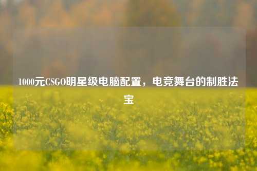 1000元CSGO明星级电脑配置,电竞舞台的制胜法宝