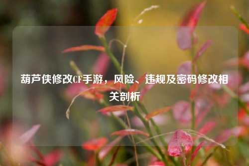 葫芦侠修改CF手游,风险、违规及密码修改相关剖析