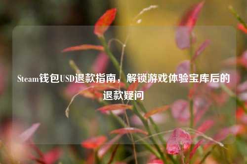 Steam钱包USD退款指南，解锁游戏体验宝库后的退款疑问