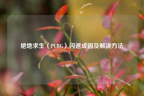 绝地求生(PUBG)闪退成因及解决方法