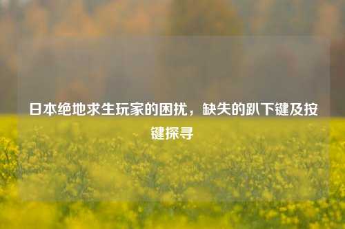 日本绝地求生玩家的困扰,缺失的趴下键及按键探寻