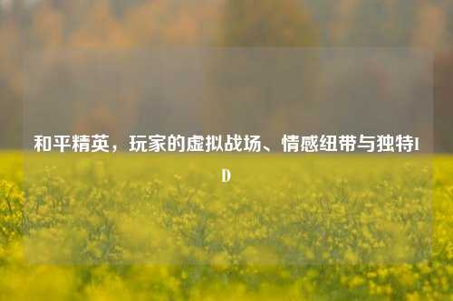 和平精英，玩家的虚拟战场、情感纽带与独特ID
