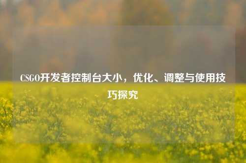 CSGO开发者控制台大小,优化、调整与使用技巧探究