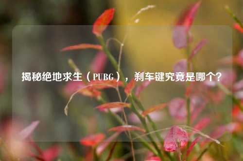 揭秘绝地求生(PUBG),刹车键究竟是哪个?