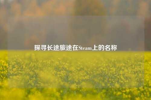 探寻长途旅途在Steam上的名称