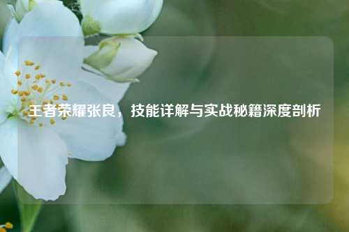 王者荣耀张良,技能详解与实战秘籍深度剖析