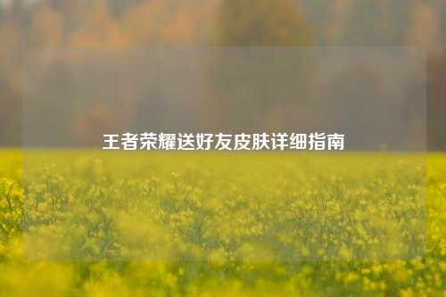 王者荣耀送好友皮肤详细指南