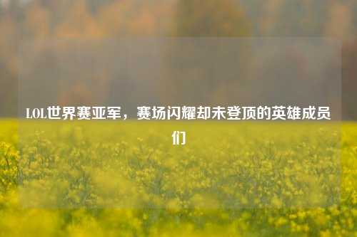 LOL世界赛亚军,赛场闪耀却未登顶的英雄成员们