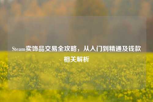 Steam卖饰品交易全攻略,从入门到精通及钱款相关解析