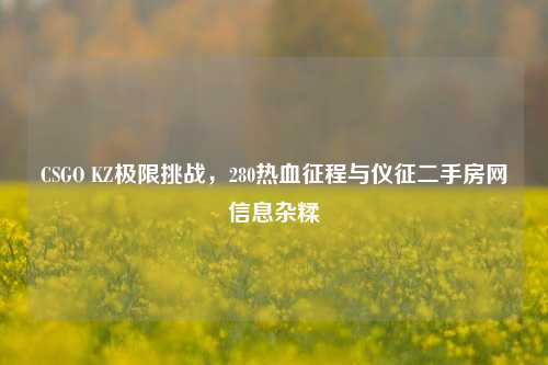 CSGO KZ极限挑战,280热血征程与仪征二手房网信息杂糅