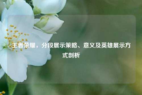 王者荣耀,分段展示策略、意义及英雄展示方式剖析