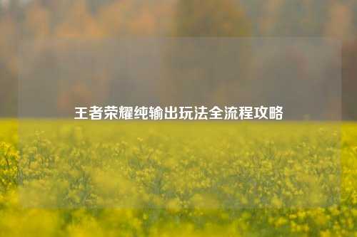 王者荣耀纯输出玩法全流程攻略