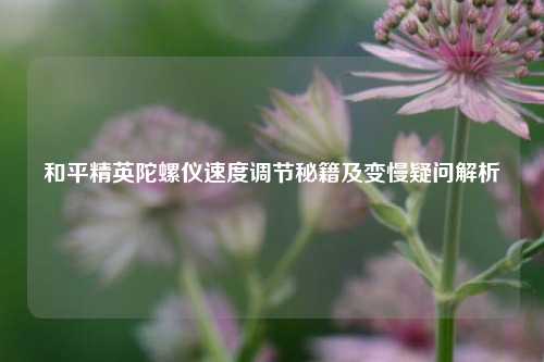 和平精英陀螺仪速度调节秘籍及变慢疑问解析