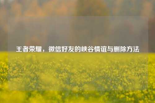 王者荣耀,微信好友的峡谷情谊与删除方法