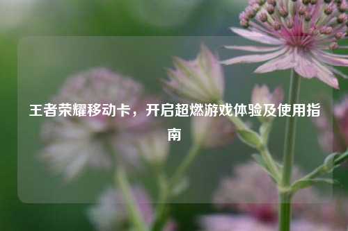 王者荣耀移动卡,开启超燃游戏体验及使用指南