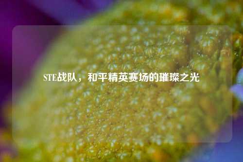 STE战队,和平精英赛场的璀璨之光