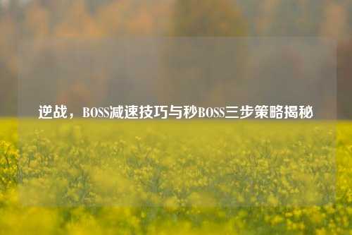 逆战，BOSS减速技巧与秒BOSS三步策略揭秘