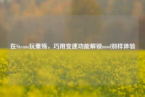 在Steam玩秦殇,巧用变速功能解锁mod别样体验
