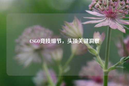 CSGO竞技细节,头顶关键洞察