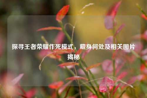 探寻王者荣耀作死模式,藏身何处及相关图片揭秘