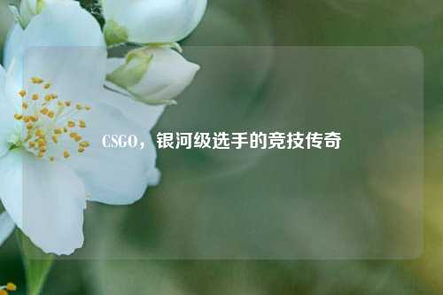 CSGO，银河级选手的竞技传奇