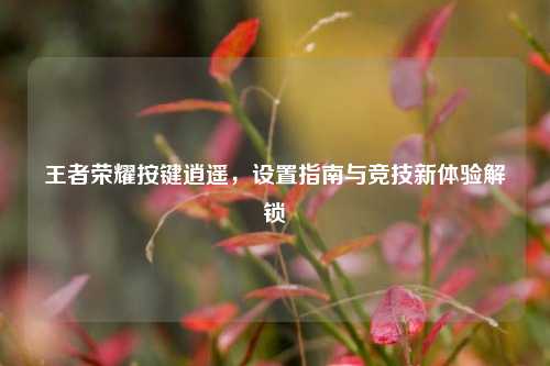 王者荣耀按键逍遥,设置指南与竞技新体验解锁