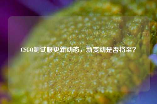 CSGO测试服更新动态,新变动是否将至?