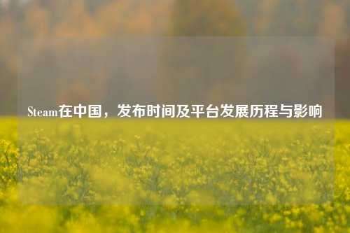 Steam在中国,发布时间及平台发展历程与影响