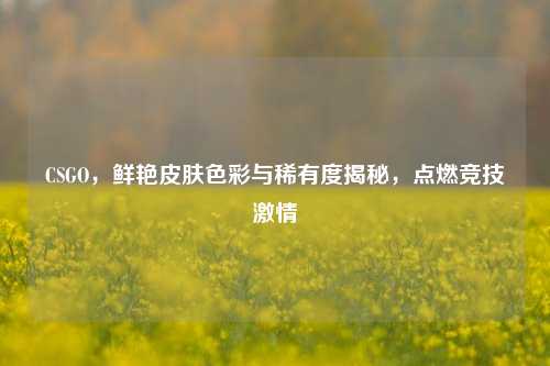 CSGO,鲜艳皮肤色彩与稀有度揭秘,点燃竞技激情