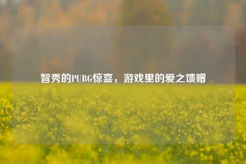 智秀的PUBG惊喜,游戏里的爱之馈赠