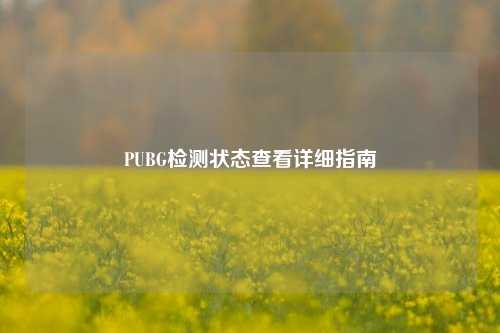 PUBG检测状态查看详细指南