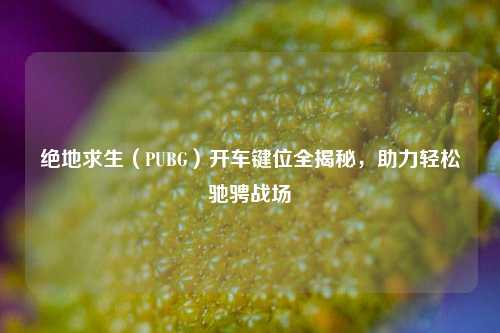 绝地求生(PUBG)开车键位全揭秘,助力轻松驰骋战场